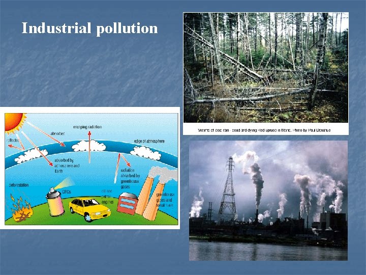 Industrial pollution 