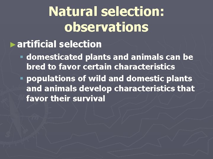 Natural selection: observations ► artificial selection § domesticated plants and animals can be bred
