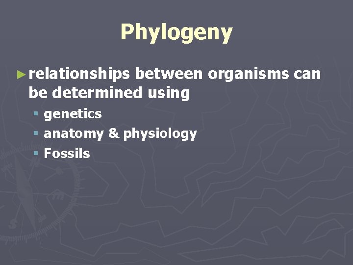 Phylogeny ► relationships between organisms can be determined using § genetics § anatomy &