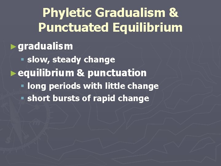 Phyletic Gradualism & Punctuated Equilibrium ► gradualism § slow, steady change ► equilibrium &