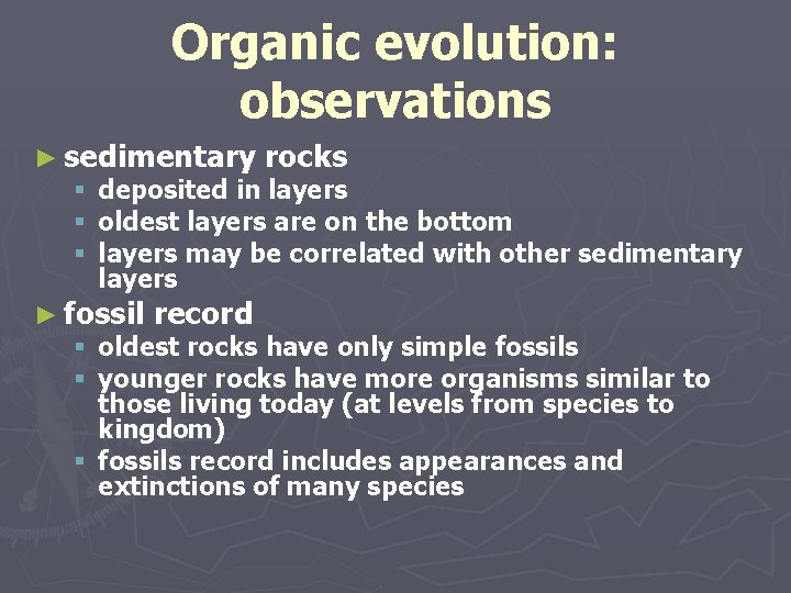 Organic evolution: observations ► sedimentary rocks § deposited in layers § oldest layers are