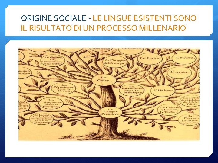 ORIGINE SOCIALE - LE LINGUE ESISTENTI SONO IL RISULTATO DI UN PROCESSO MILLENARIO 