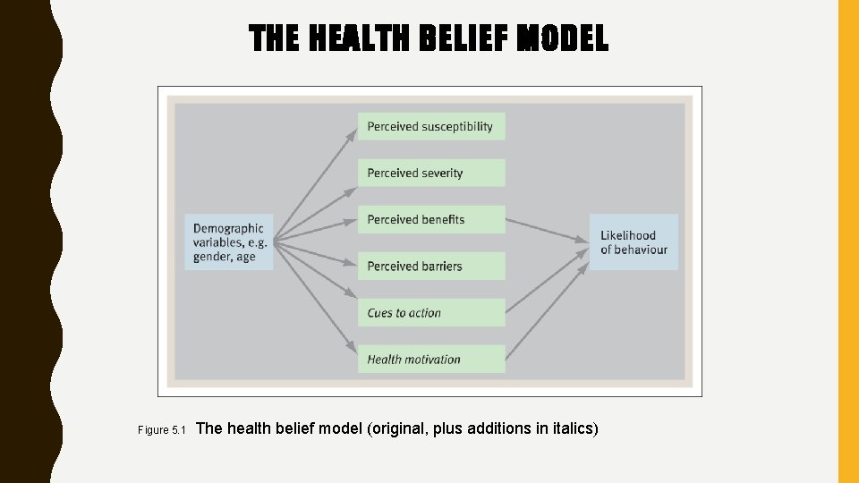 THE HEALTH BELIEF MODEL Figure 5. 1 The health belief model (original, plus additions