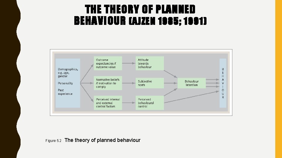 THE THEORY OF PLANNED BEHAVIOUR (AJZEN 1985; 1991) Figure 5. 2 The theory of