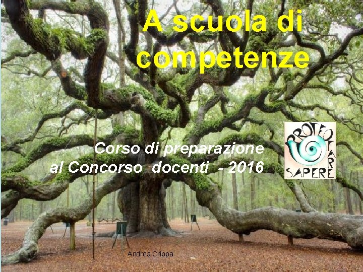 A scuola di competenze Corso di preparazione al Concorso docenti - 2016 Andrea Crippa