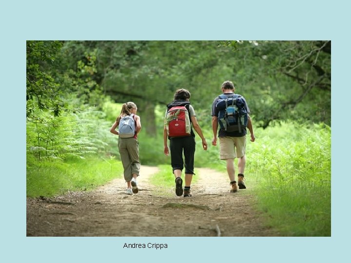 Andrea Crippa 