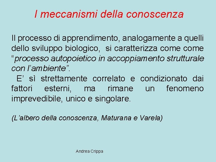 I meccanismi della conoscenza Il processo di apprendimento, analogamente a quelli dello sviluppo biologico,