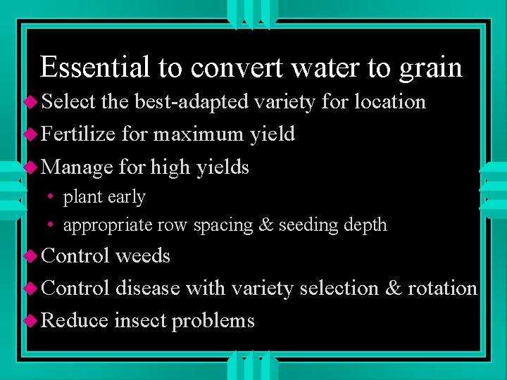 Essential to convert water to grain u Select the best-adapted variety for location u