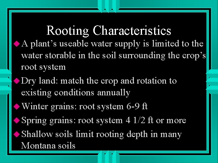 Rooting Characteristics u. A plant’s useable water supply is limited to the water storable