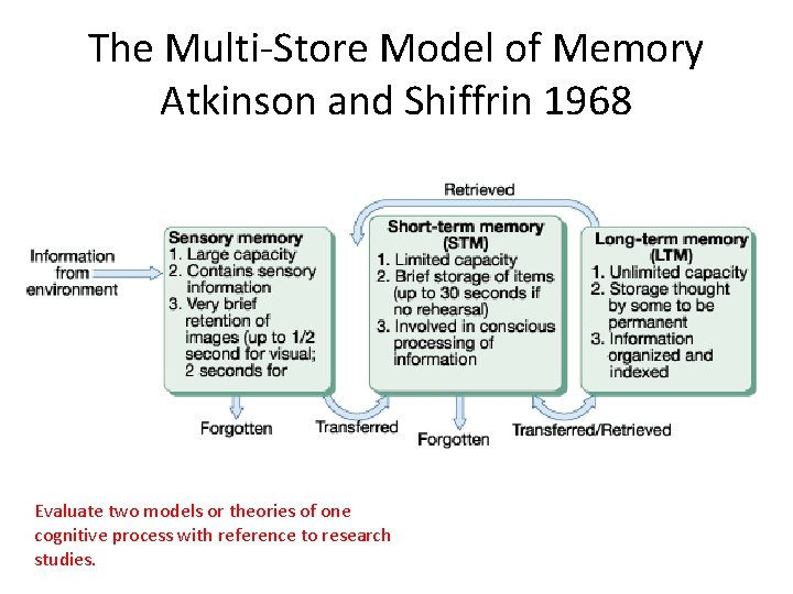 The Multi-Store Model of Memory Atkinson and Shiffrin 1968 Evaluate two models or theories