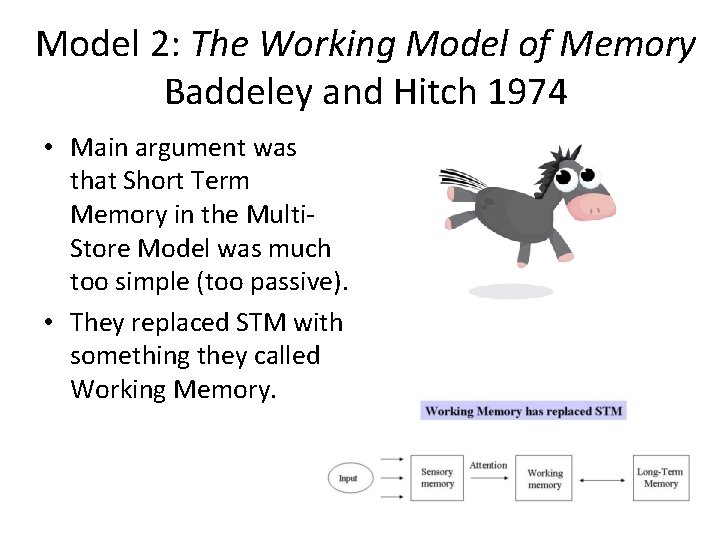 Model 2: The Working Model of Memory Baddeley and Hitch 1974 • Main argument