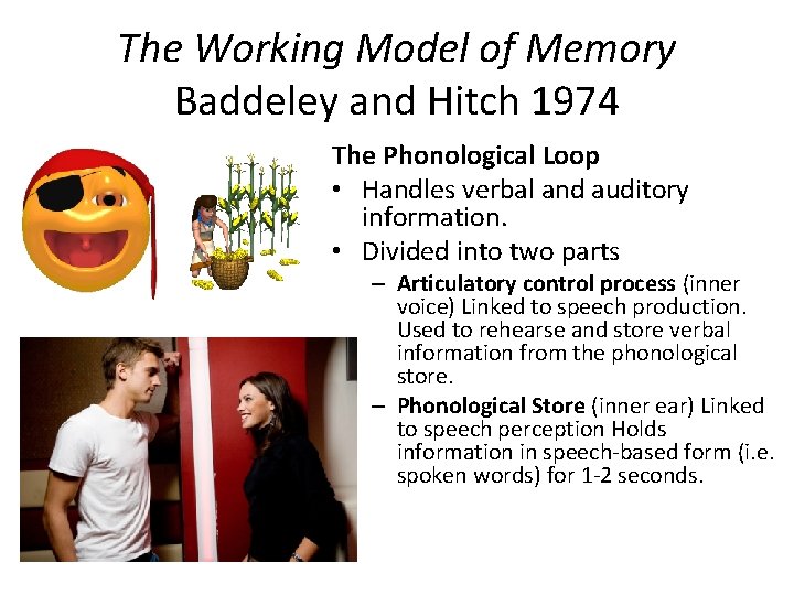 The Working Model of Memory Baddeley and Hitch 1974 The Phonological Loop • Handles