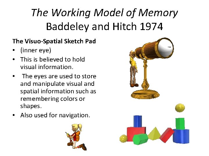 The Working Model of Memory Baddeley and Hitch 1974 The Visuo-Spatial Sketch Pad •