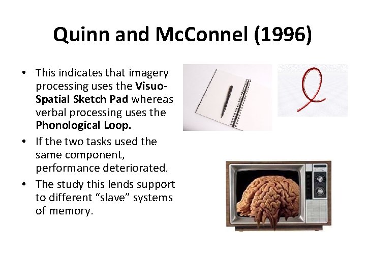 Quinn and Mc. Connel (1996) • This indicates that imagery processing uses the Visuo.