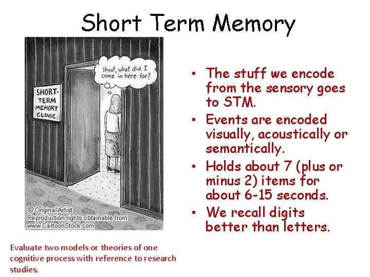 Short Term Memory • The stuff we encode from the sensory goes to STM.