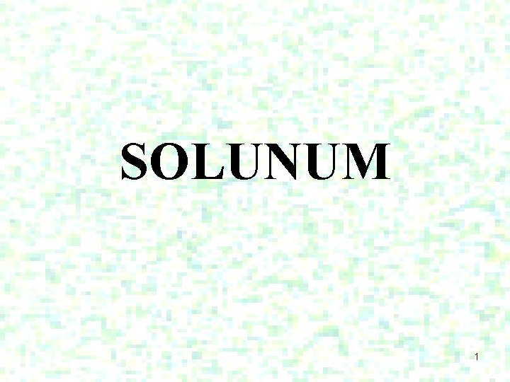 SOLUNUM 1 