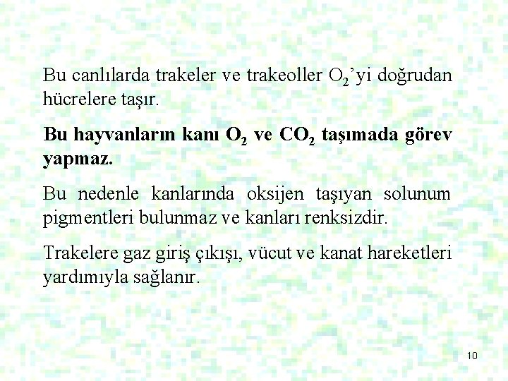 Bu canlılarda trakeler ve trakeoller O 2’yi doğrudan hücrelere taşır. Bu hayvanların kanı O