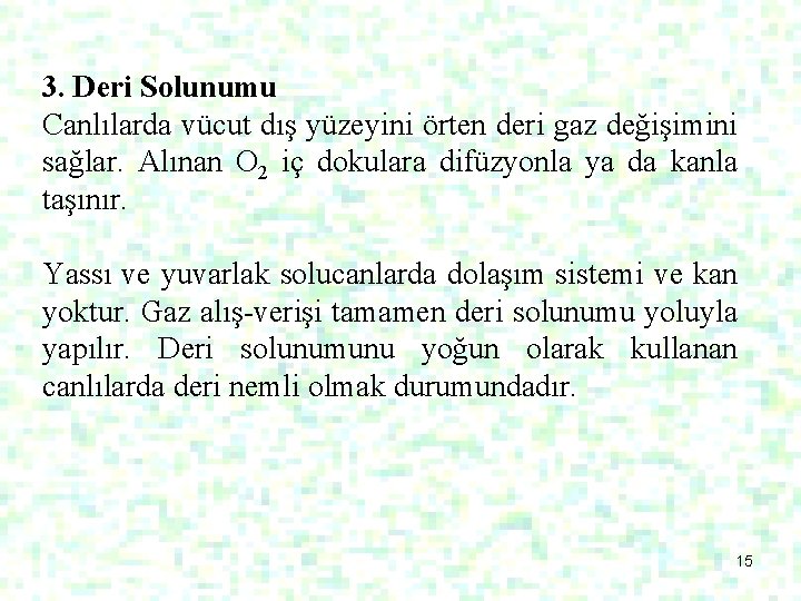 3. Deri Solunumu Canlılarda vücut dış yüzeyini örten deri gaz değişimini sağlar. Alınan O