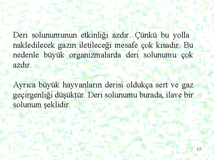 Deri solunumunun etkinliği azdır. Çünkü bu yolla nakledilecek gazın iletileceği mesafe çok kısadır. Bu