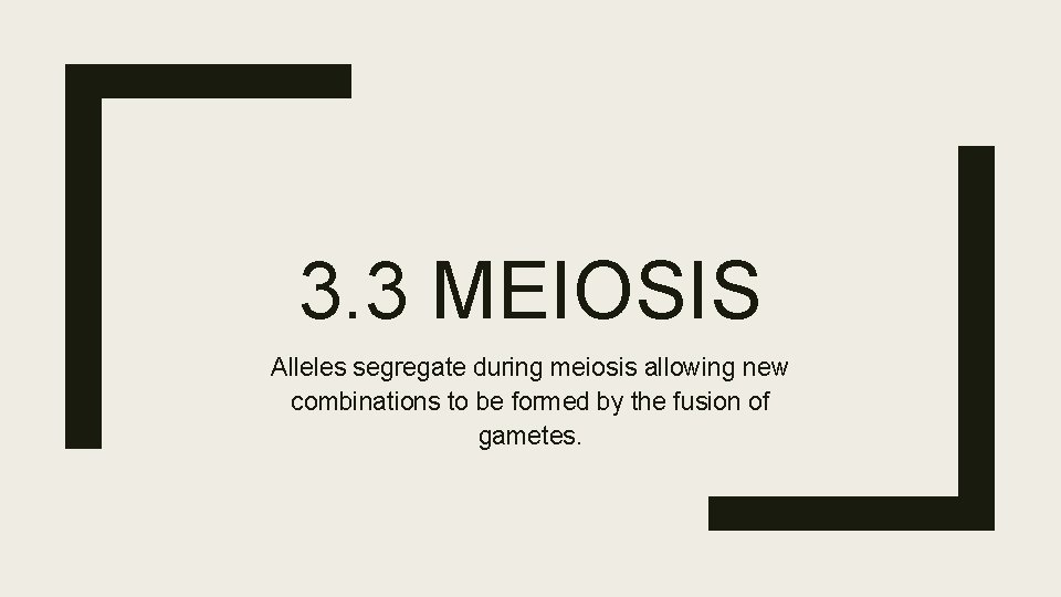 3. 3 MEIOSIS Alleles segregate during meiosis allowing new combinations to be formed by