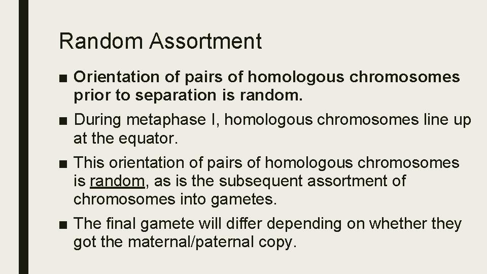 Random Assortment ■ Orientation of pairs of homologous chromosomes prior to separation is random.