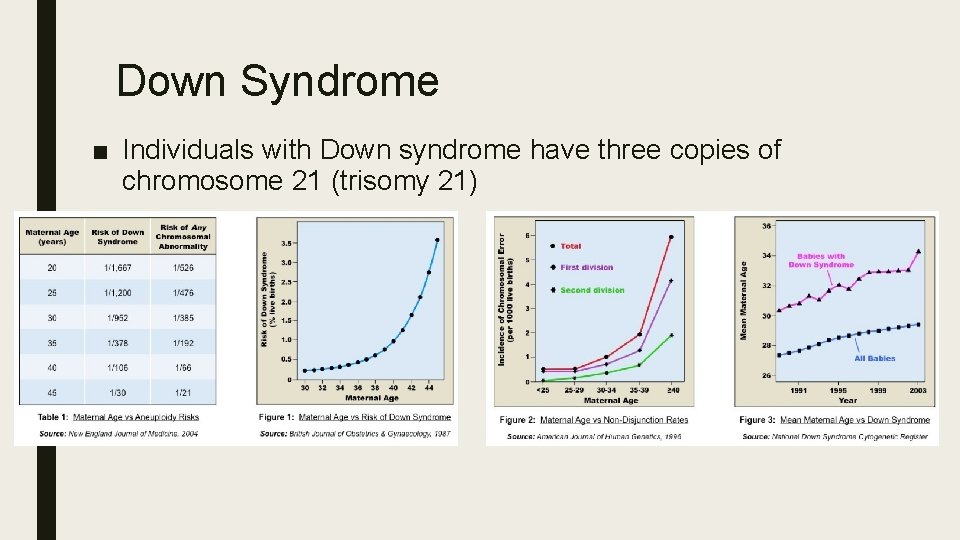 Down Syndrome ■ Individuals with Down syndrome have three copies of chromosome 21 (trisomy