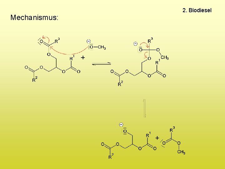 Mechanismus: 2. Biodiesel 