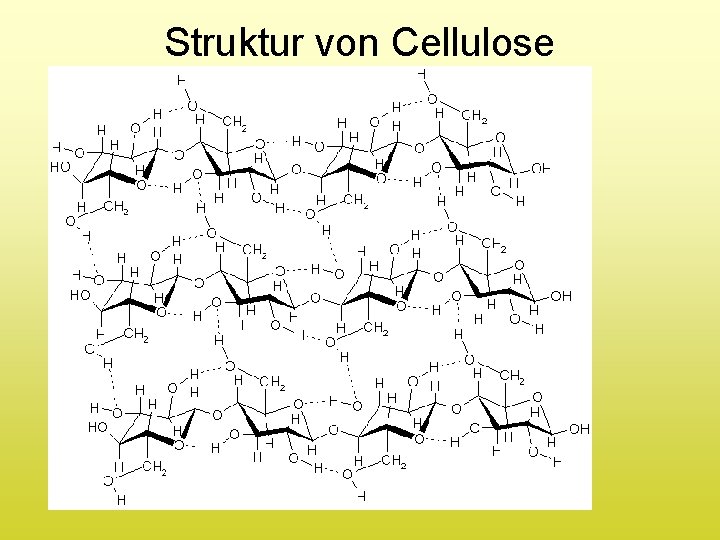 Struktur von Cellulose 