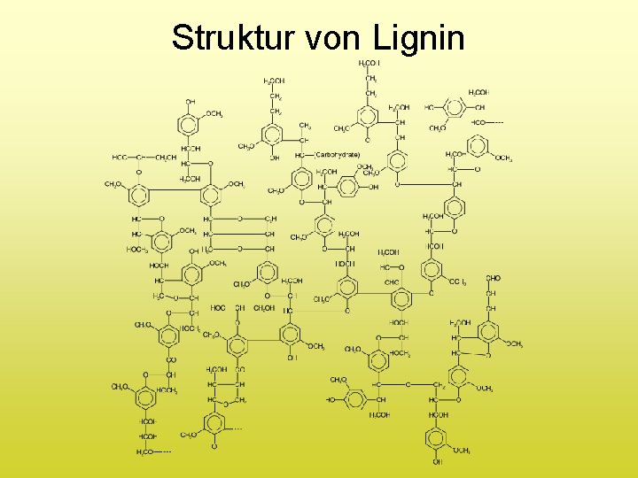 Struktur von Lignin 