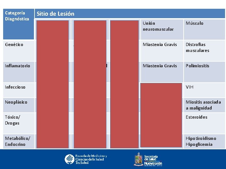 Categoría Diagnóstica Sitio de Lesión Neurona motora superior Determinar Etiología Neurona motora inferior Nervio