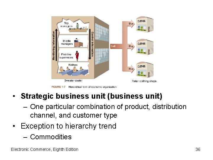  • Strategic business unit (business unit) – One particular combination of product, distribution
