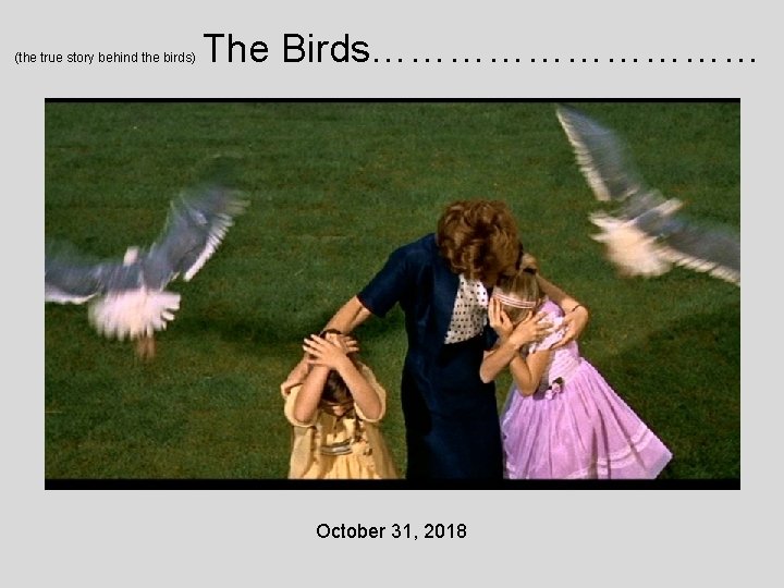 (the true story behind the birds) The Birds…………… October 31, 2018 