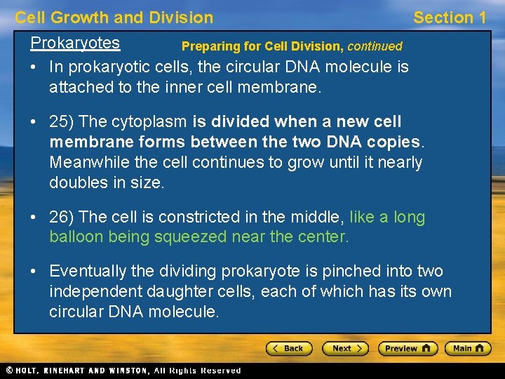Cell Growth and Division Section 1 Prokaryotes Preparing for Cell Division, continued • In