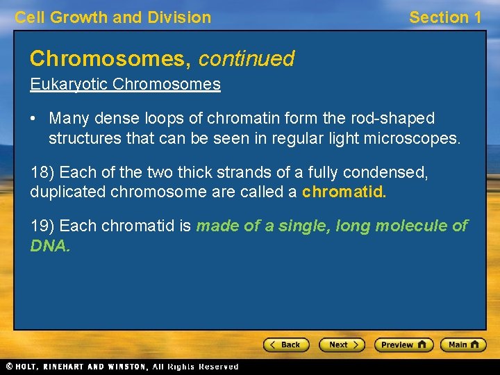 Cell Growth and Division Section 1 Chromosomes, continued Eukaryotic Chromosomes • Many dense loops