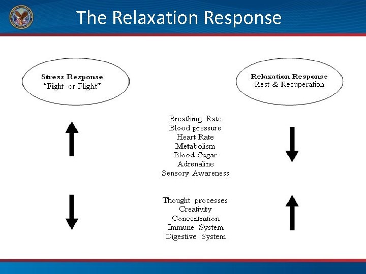 The Relaxation Response 