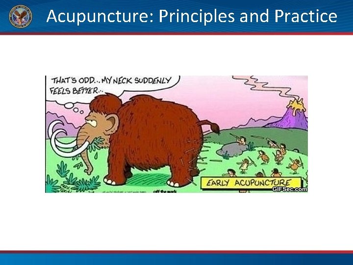 Acupuncture: Principles and Practice 