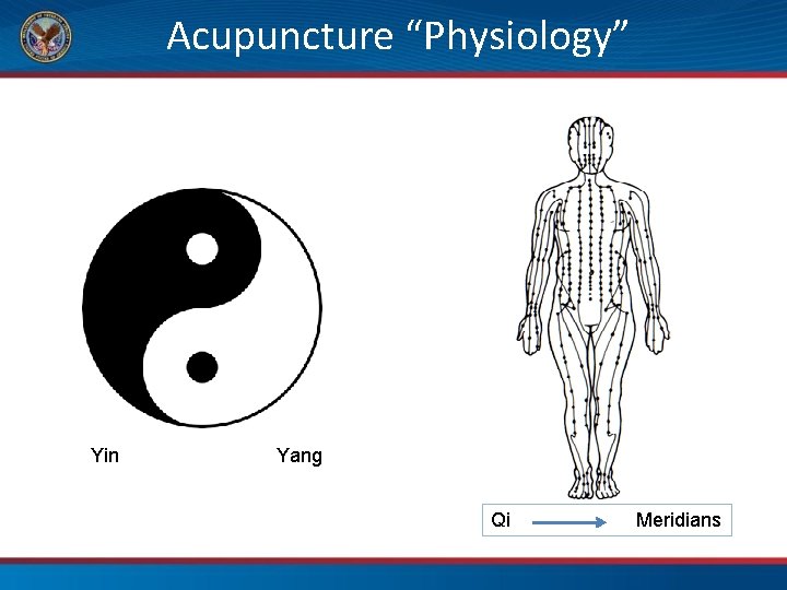 Acupuncture “Physiology” Yin Yang Qi Meridians 