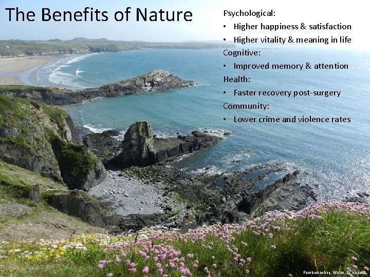 The Benefits of Nature Psychological: • Higher happiness & satisfaction • Higher vitality &