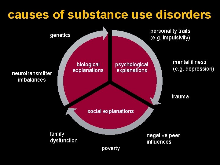 causes of substance use disorders personality traits (e. g. impulsivity) genetics neurotransmitter imbalances biological