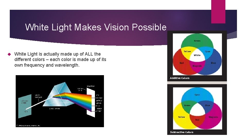 White Light Makes Vision Possible White Light is actually made up of ALL the