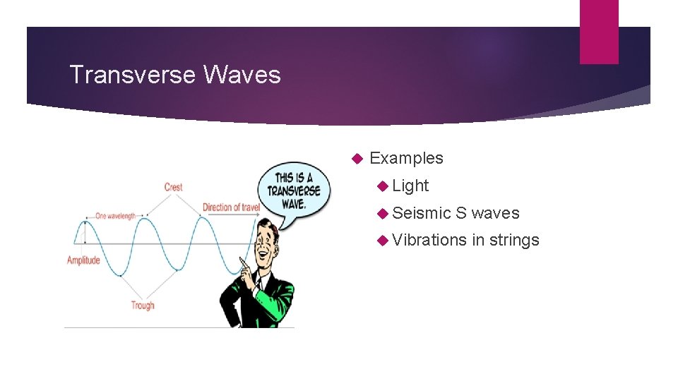 Transverse Waves Examples Light Seismic S waves Vibrations in strings 