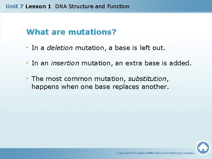 Unit 7 Lesson 1 DNA Structure and Function What are mutations? • In a
