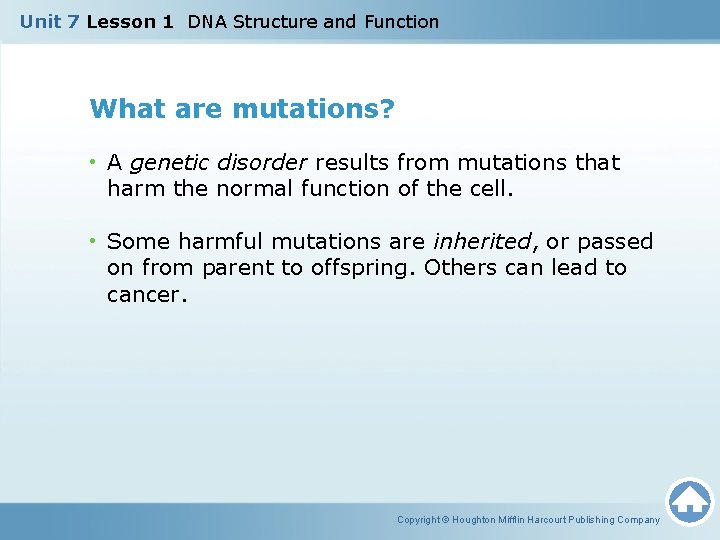 Unit 7 Lesson 1 DNA Structure and Function What are mutations? • A genetic