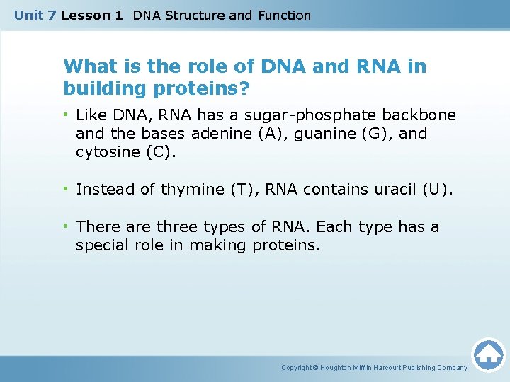 Unit 7 Lesson 1 DNA Structure and Function What is the role of DNA