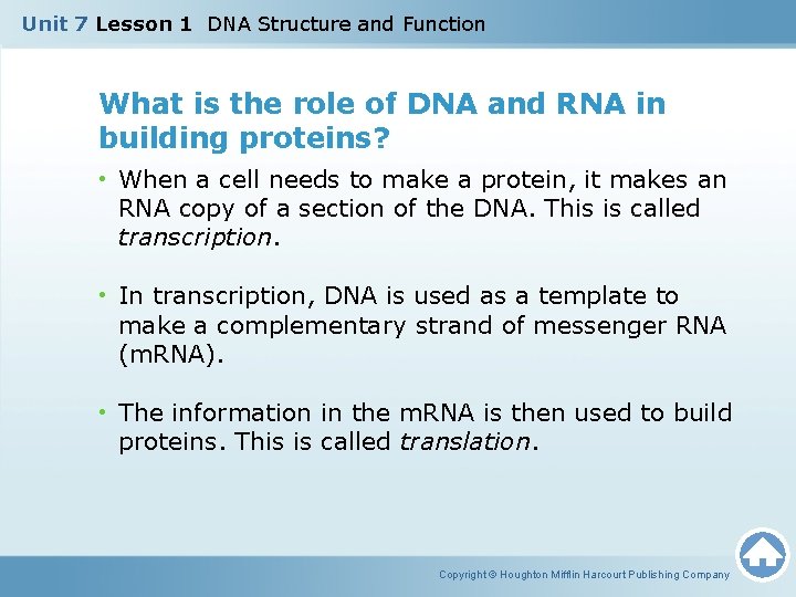 Unit 7 Lesson 1 DNA Structure and Function What is the role of DNA