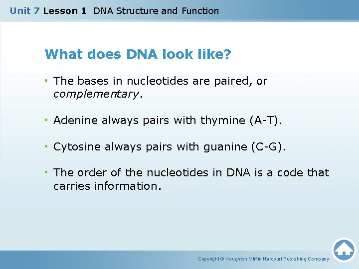 Unit 7 Lesson 1 DNA Structure and Function What does DNA look like? •