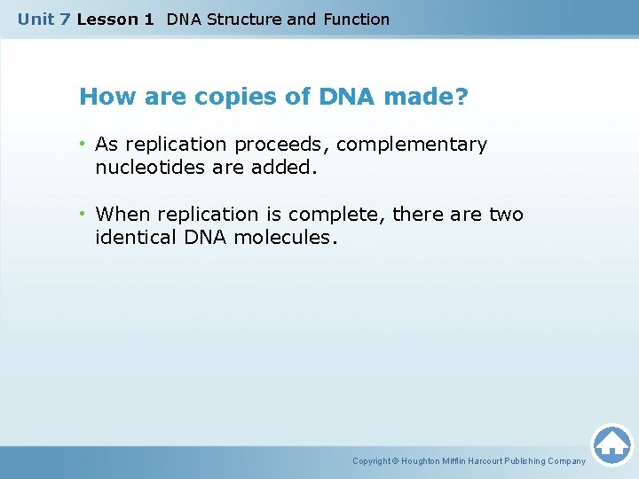 Unit 7 Lesson 1 DNA Structure and Function How are copies of DNA made?
