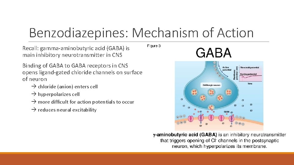Benzodiazepines: Mechanism of Action Recall: gamma-aminobutyric acid (GABA) is main inhibitory neurotransmitter in CNS