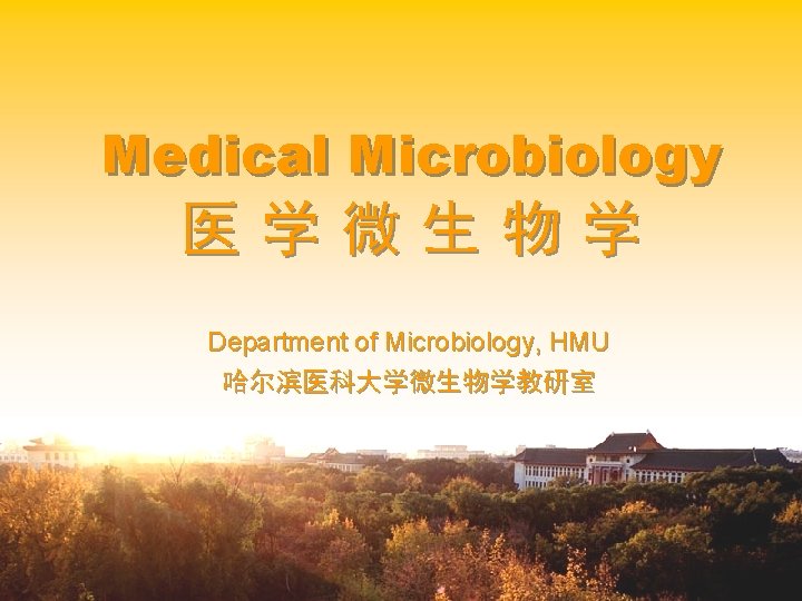 Medical Microbiology 医学微生物学 Department of Microbiology, HMU 哈尔滨医科大学微生物学教研室 Department of Microbiology, Harbin Medical University