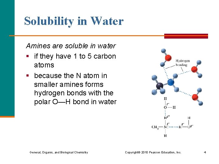 Solubility in Water Amines are soluble in water § if they have 1 to